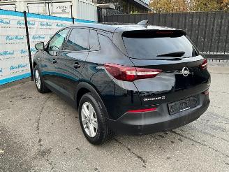 Opel Grandland X 1.5 CDTi (96kW) picture 3