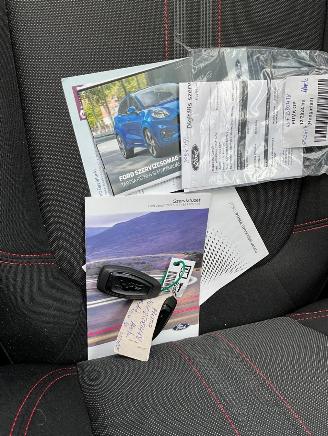 Ford Puma ST-Line 1.0 Ecoboost Automaat picture 23