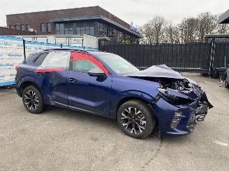 Seat Terra CUPRA Terramar 1.5 e-Hybrid 150kW picture 3