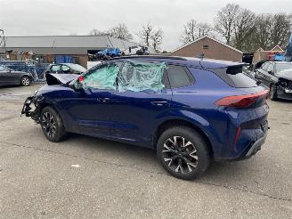 Seat Terra CUPRA Terramar 1.5 e-Hybrid 150kW picture 2