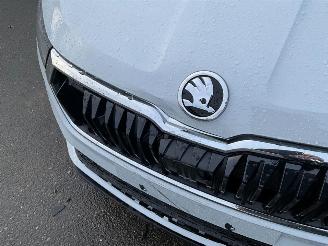 Skoda Karoq  picture 16