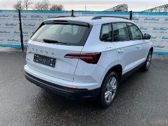 Skoda Karoq  picture 4