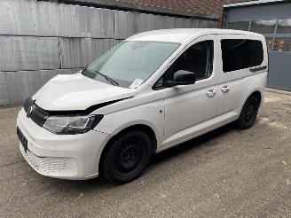 krockskadad bil bedrijf Volkswagen Caddy Life 2.0 TDi (90kW) Cool & Sound-pakket 2023/9