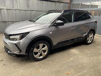 Schadeauto Opel Grandland X 1.2 Turbo (96kW) GS Line 2023/6