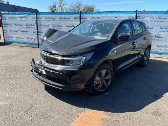 Schadeauto Opel Grandland (X) 1.2 Turbo (96kW) GS 2024/1