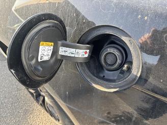 Ford Mustang GT Fastback 5.0 picture 10