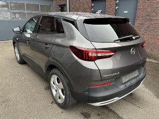Opel Grandland X Elegance Plug-in-Hybrid 4 picture 4