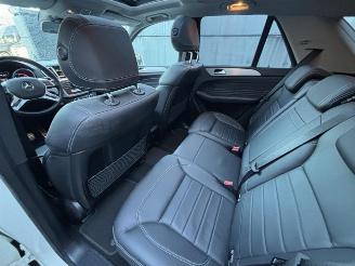 Mercedes M-klasse 250 BlueTEC AMG Panoramadak picture 13