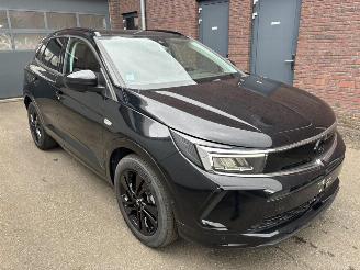 Opel Grandland X GS Line Plug-in-Hybrid picture 2