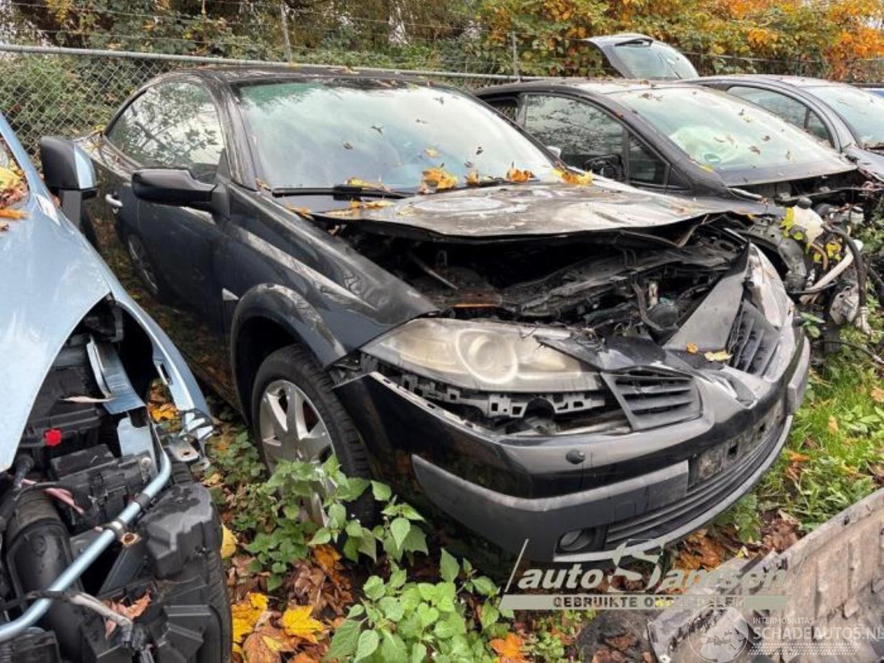 Renault Mégane Megane II CC (EM), Cabrio, 2003 / 2010 1.6 16V