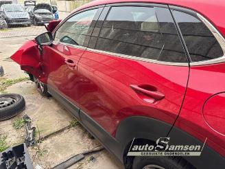 Mazda CX-30 CX-30 (DM), SUV, 2019 2.0 e-SkyActiv-G 150 16V picture 5