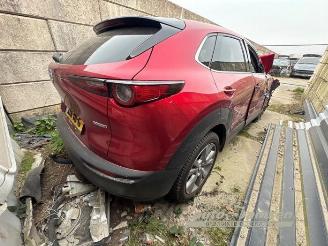 Mazda CX-30 CX-30 (DM), SUV, 2019 2.0 e-SkyActiv-G 150 16V picture 8