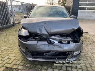 Volkswagen Polo Polo V (6R), Hatchback, 2009 / 2017 1.4 16V picture 6