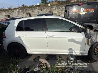 Volkswagen Golf Golf VII (AUA), Hatchback, 2012 / 2021 2.0 GTI 16V Performance Package picture 4