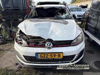 Volkswagen Golf Golf VII (AUA), Hatchback, 2012 / 2021 2.0 GTI 16V Performance Package picture 2