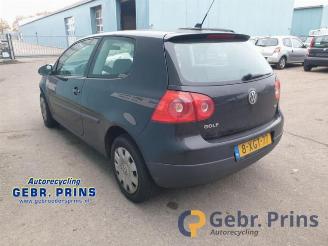 Volkswagen Golf Golf V (1K1), Hatchback, 2003 / 2010 1.9 TDI picture 3