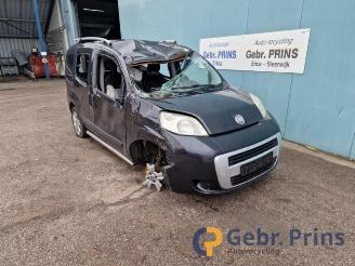 Fiat Qubo Qubo, MPV, 2008 1.4 picture 1