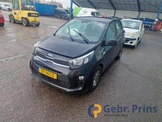 Sloopauto Kia Picanto Picanto (JA), Hatchback, 2017 1.0 12V 2018/7