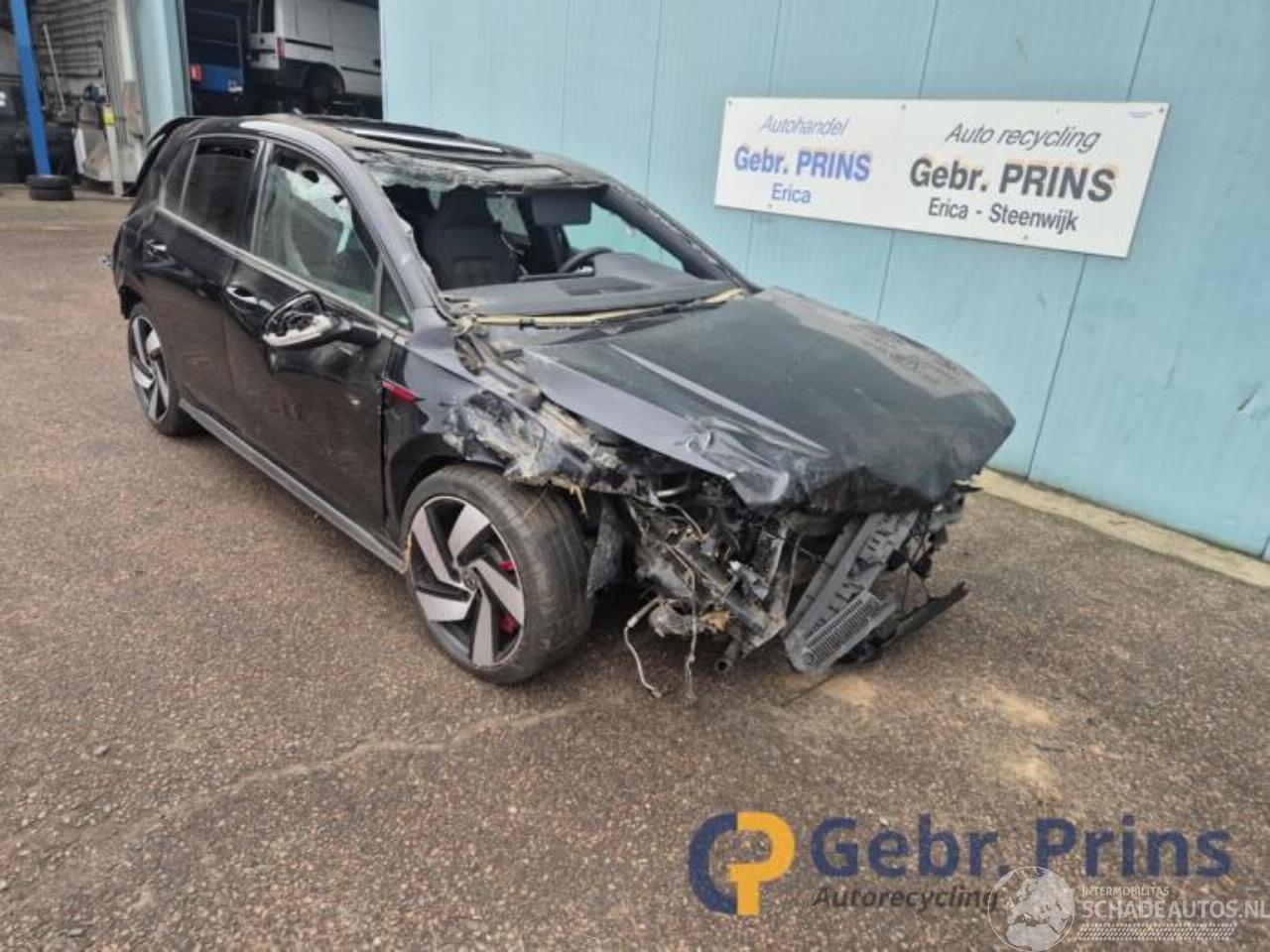 Volkswagen Golf Golf VIII (CD1), Hatchback, 2019 2.0 GTI 16V