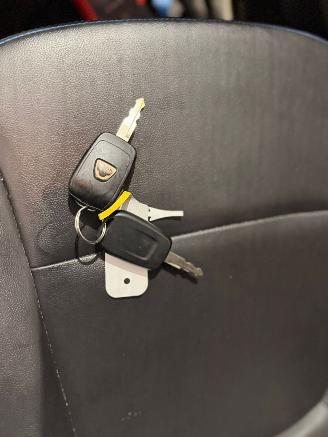 Dacia Spring 45 Hatchback  Elektrisch  33kW (45pk) RWD 2020-10 (BV2M1) 4DB401 picture 16