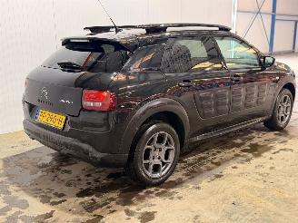 Citroën C4 cactus 1.2 PureTech 110 12V Hatchback 4Dr Benzine 1.199cc 81kW (110pk) FWD picture 3