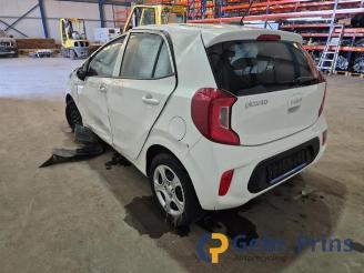 Kia Picanto Picanto (JA), Hatchback, 2017 1.0 DPi 12V picture 5