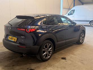 Mazda CX-30 2.0 e-SkyActiv X 186 M Hybrid 16V picture 8