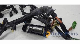 BMW 1-serie 1 serie (F20), Hatchback 5-drs, 2011 / 2019 118d 2.0 16V picture 34