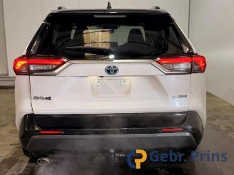Toyota Rav-4 RAV4 (A5), Terreinwagen, 2018 2.5 Hybrid 16V AWD picture 4