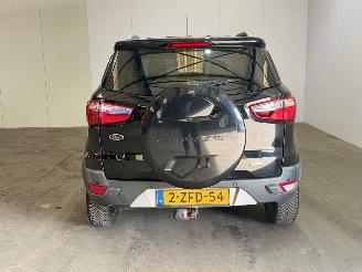 Ford EcoSport 1.0 EcoBoost Titanium picture 8