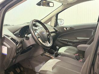 Ford EcoSport 1.0 EcoBoost Titanium picture 9