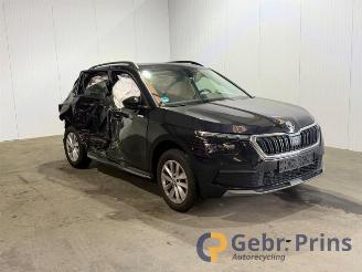 Dezmembrări autoturisme Skoda Kamiq Kamiq, SUV, 2019 1.5 TSI 16V 2023/10