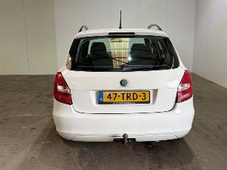 Skoda Fabia 1.2 TDI Greenline picture 8