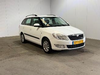 škoda osobní automobily Skoda Fabia 1.2 TDI Greenline 2012/3