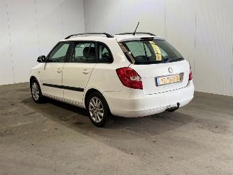 Skoda Fabia 1.2 TDI Greenline picture 5