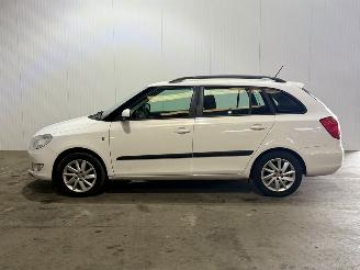 Skoda Fabia 1.2 TDI Greenline picture 6