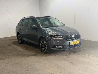 Voiture accidenté Skoda Fabia 1.0 TSI Business Edition 2020/9
