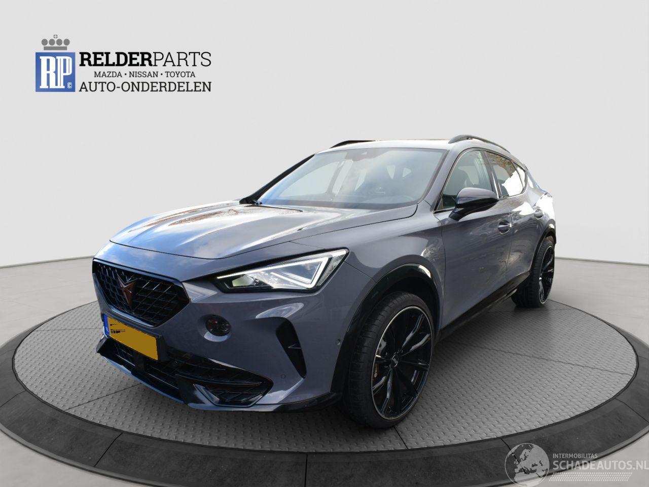 Cupra Formentor 2.0 TSI 4 DRIVE 310 PK ABT UITV.