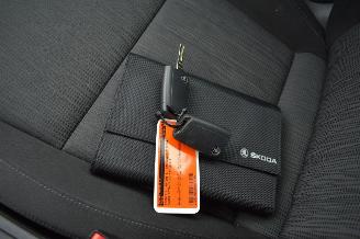 Skoda Octavia 1.6 TDI picture 26