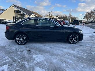 BMW  220i High Executive picture 14