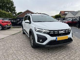 Dacia Jogger 1.0 TCe 100 ECO-G Expression 7p. | eerste eigenaar!! picture 5