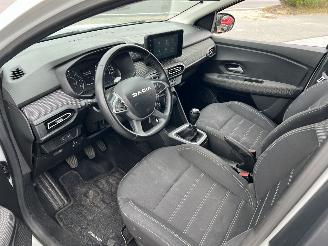 Dacia Jogger 1.0 TCe 100 ECO-G Expression 7p. | eerste eigenaar!! picture 17