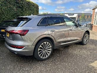 Audi E-tron 55 quattro Advanced edition 95 kWh picture 17