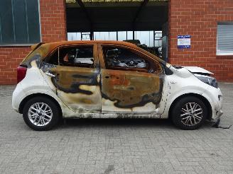 Kia Picanto  picture 6