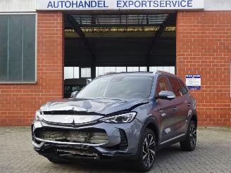 uszkodzony samochody osobowe MG ZS ZS 1.5 Hybrid+ 145 kW Luxury, Leer, Navi-MMS, DAB+ 2025/9