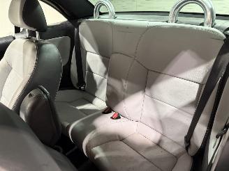 Peugeot 207 1.6THP 115kW Cabrio Roland Garros picture 32