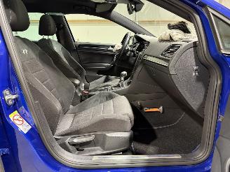Volkswagen Golf R 2.0TSI 228kW Automaat 4-Motion R Panoramadak picture 38