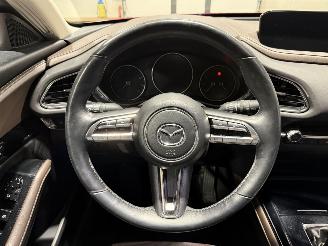 Mazda CX-30 2.0 E-SkyActiv-X 132kW M Hybrid Luxury picture 15