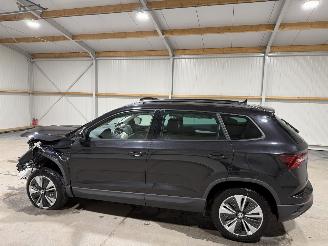 Skoda Karoq 1.5TSI 110kW ACT Business Edition Pano picture 11