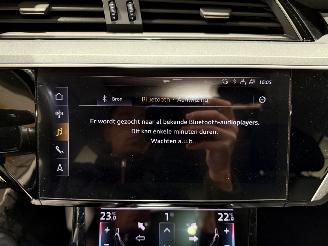 Audi E-tron 71kWh 230kW Quattro 50 Launch Edition Plus picture 28